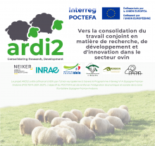 ARDI2 project funding institutions and partners with some sheep